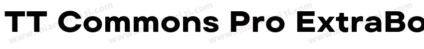 TT Commons Pro ExtraBold字体转换